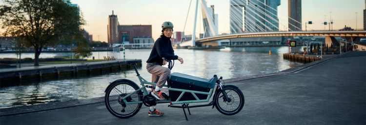 Cargo Bikes