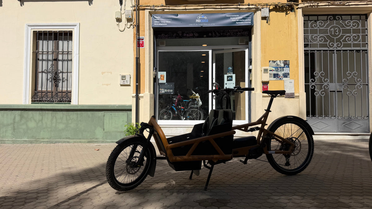 Riese & Müller - Load4 60 - Touring