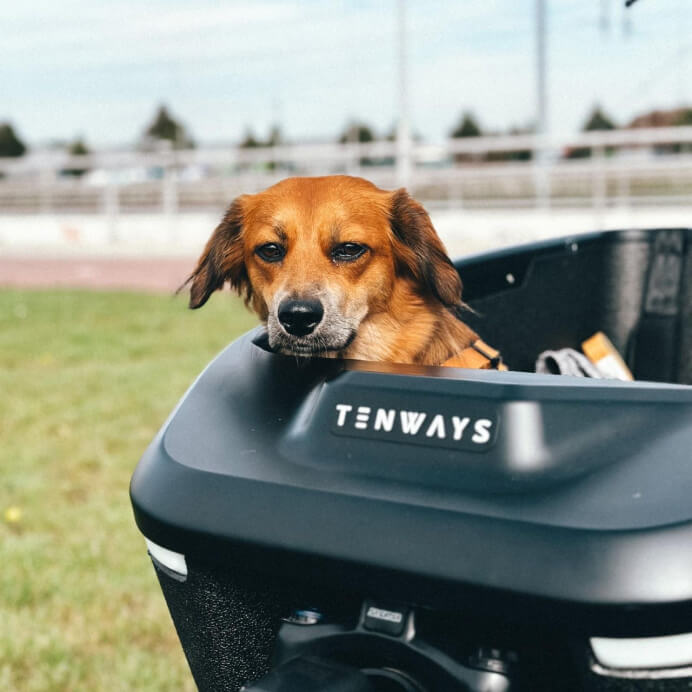 Tenways - Cargo One