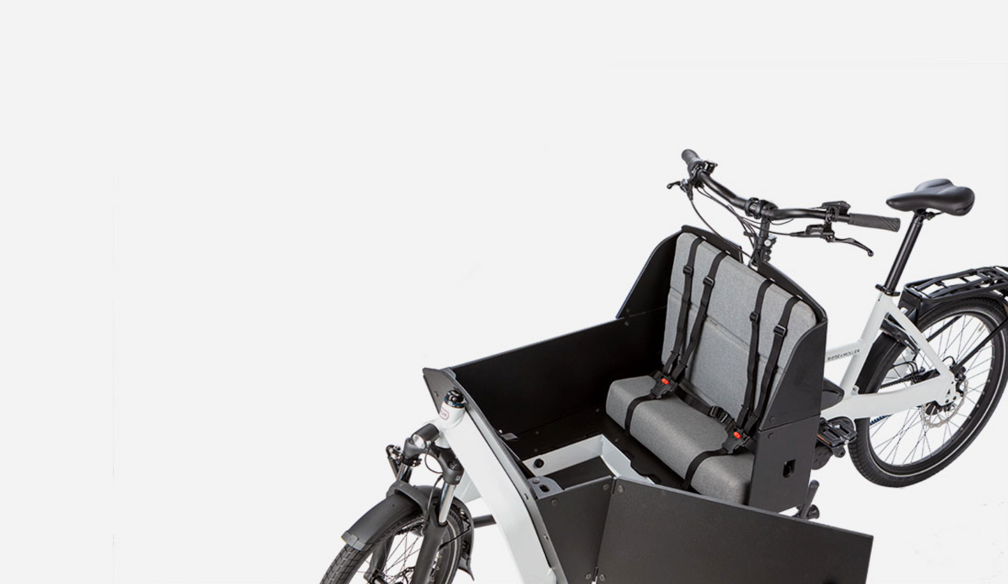 Riese & Müller - Packster 70 - Vario