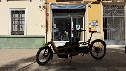 Riese & Müller - Load4 60 - Touring